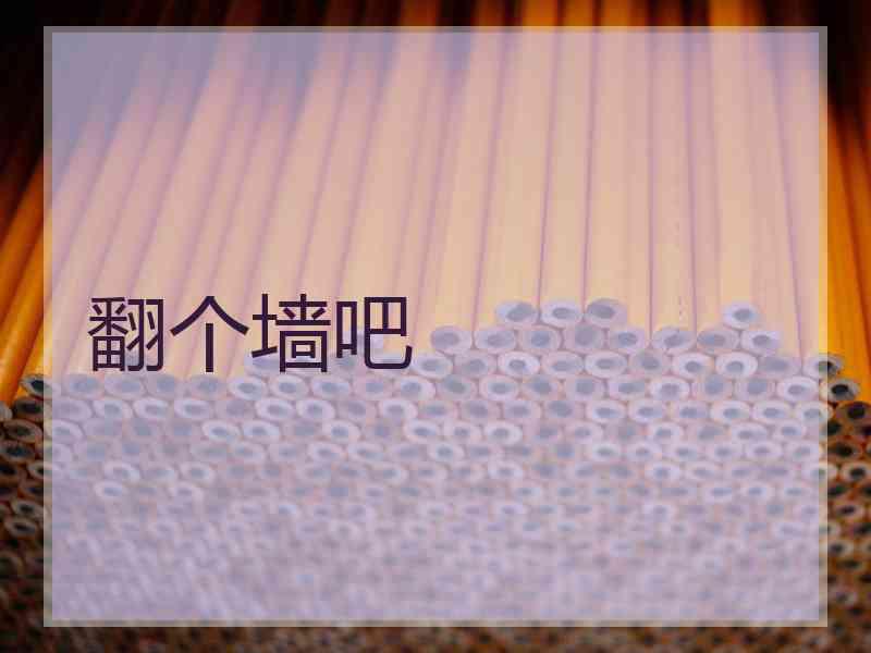 翻个墙吧