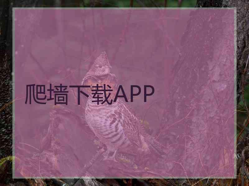 爬墙下载APP