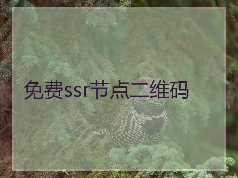 免费ssr节点二维码