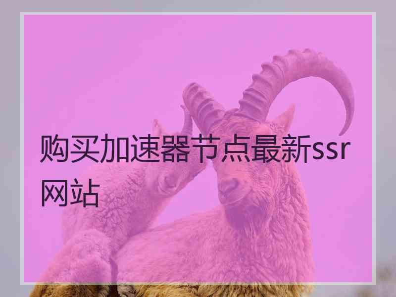 购买加速器节点最新ssr网站
