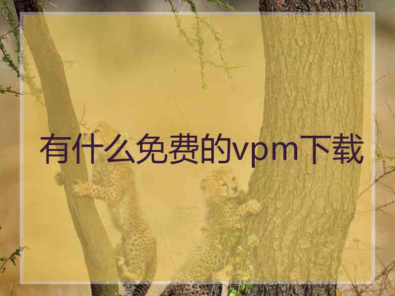 有什么免费的vpm下载