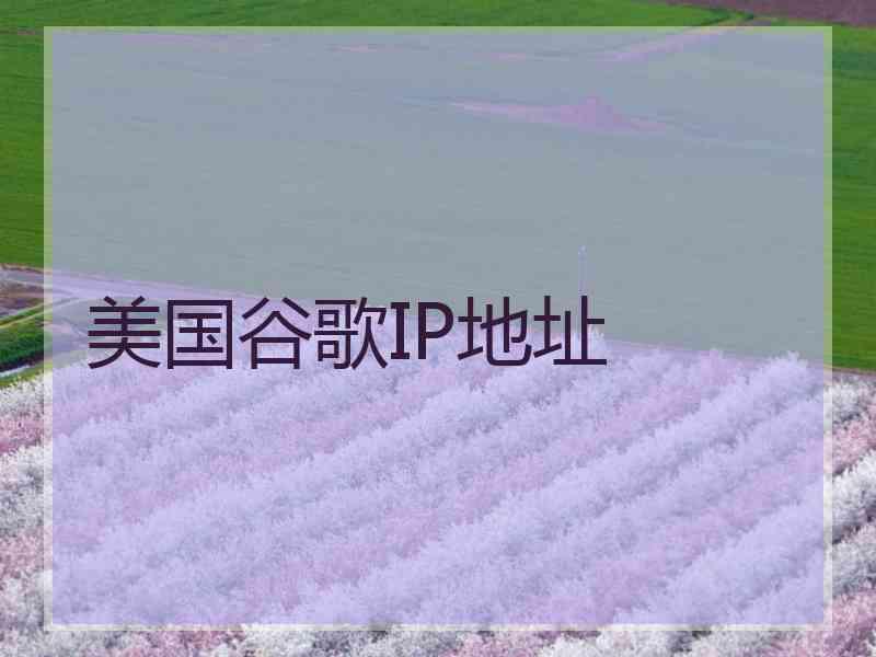 美国谷歌IP地址