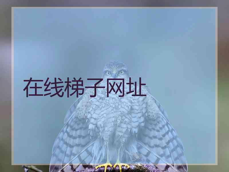 在线梯子网址