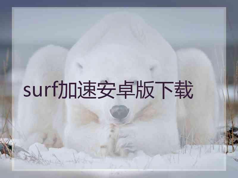 surf加速安卓版下载
