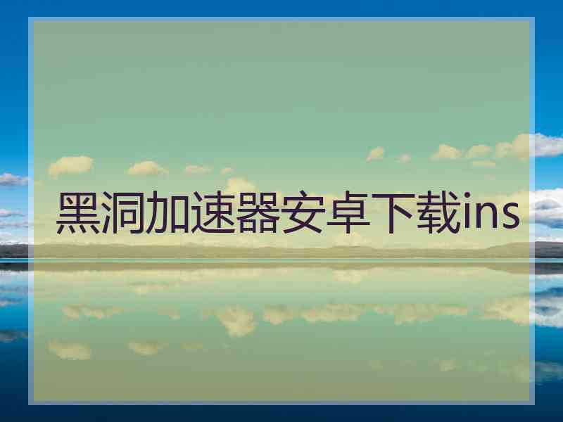 黑洞加速器安卓下载ins