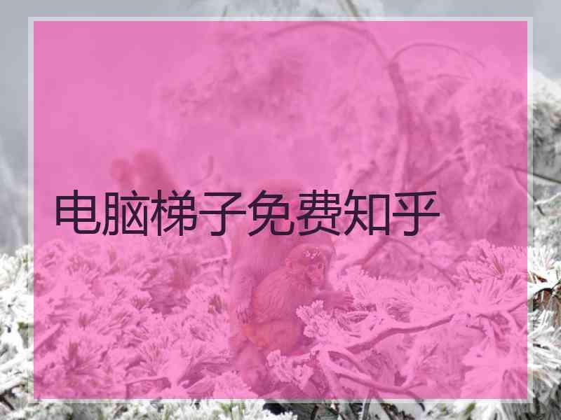 电脑梯子免费知乎