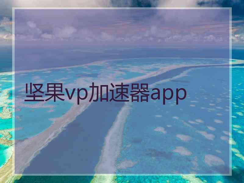 坚果vp加速器app