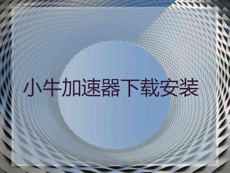 小牛加速器下载安装