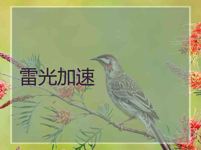 雷光加速
