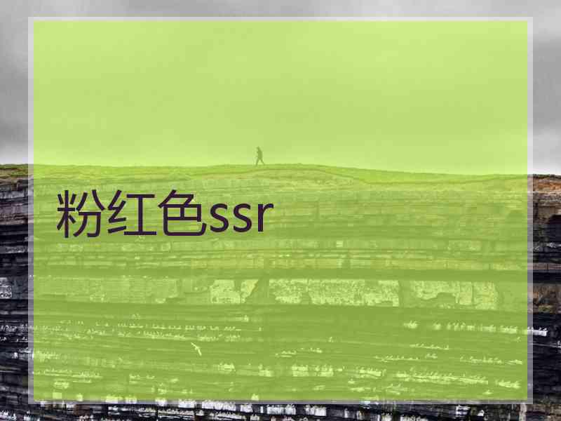 粉红色ssr