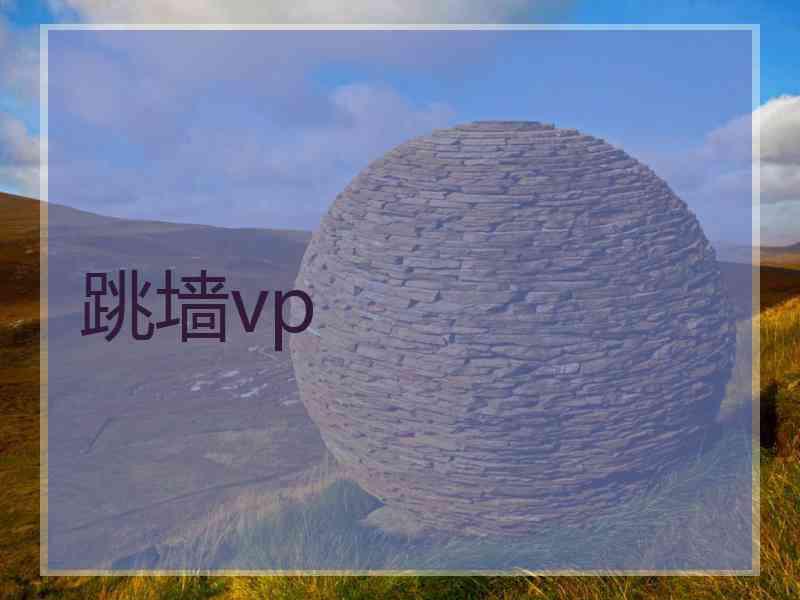 跳墙vp