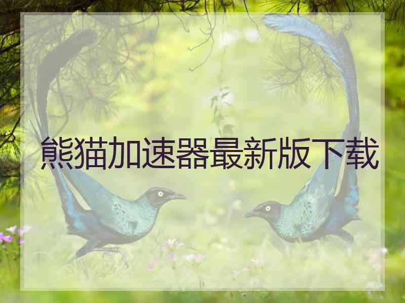 熊猫加速器最新版下载