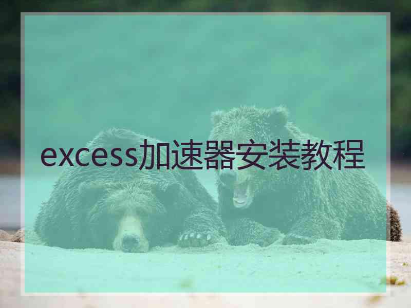 excess加速器安装教程