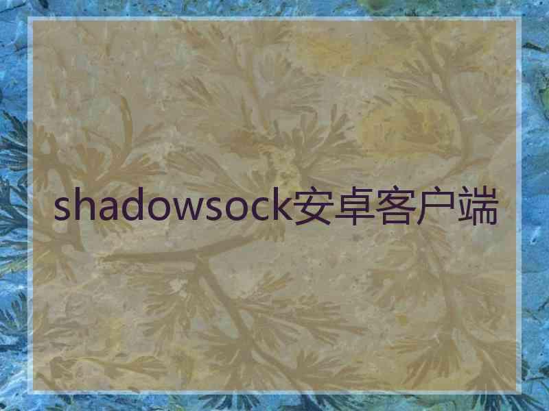 shadowsock安卓客户端