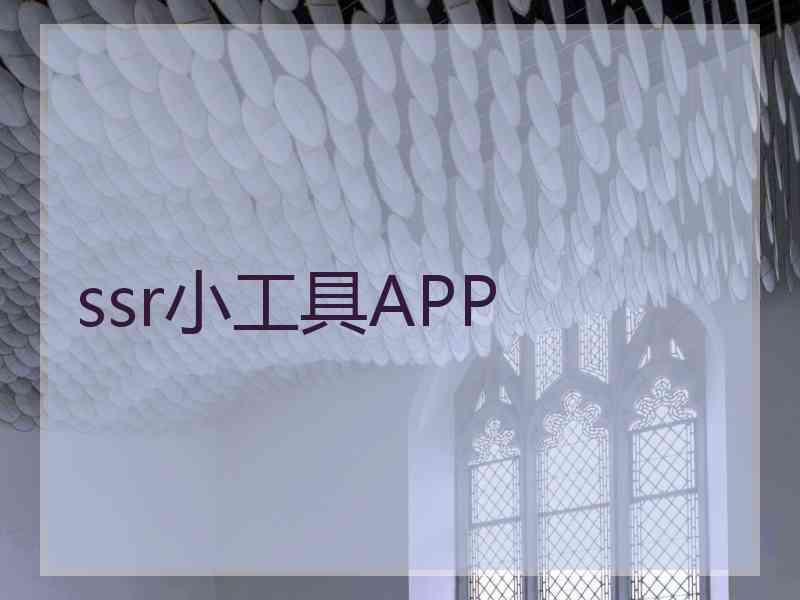 ssr小工具APP