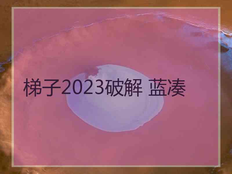 梯子2023破解 蓝凑