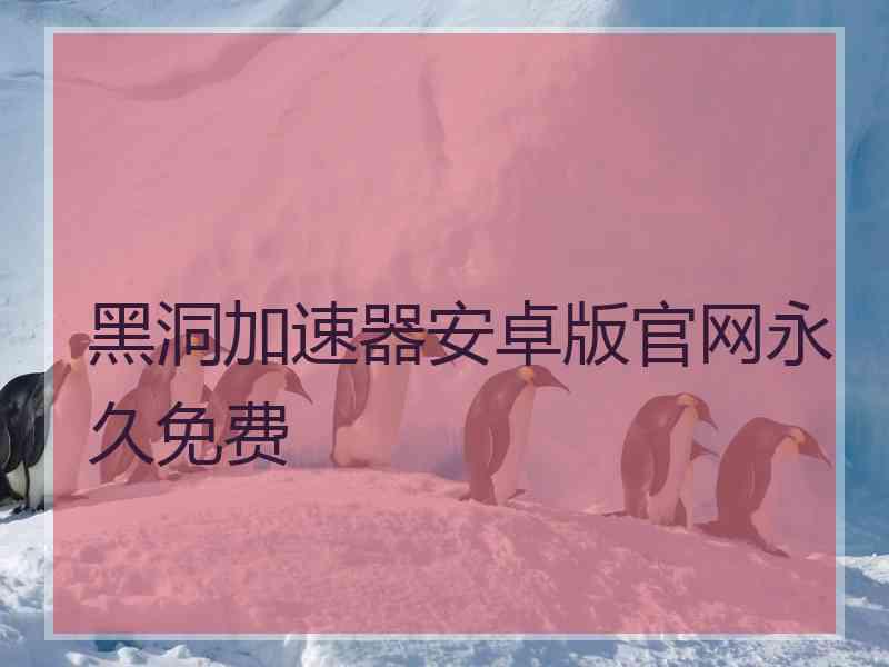黑洞加速器安卓版官网永久免费