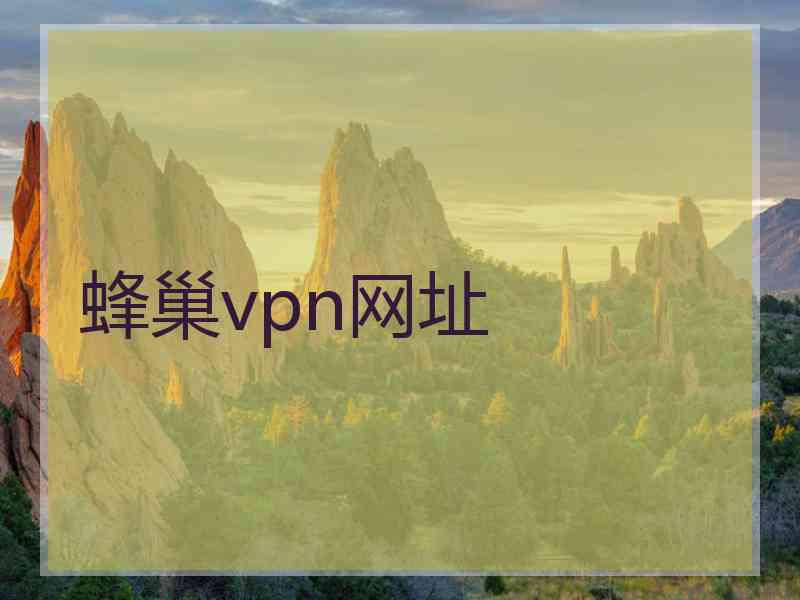 蜂巢vpn网址