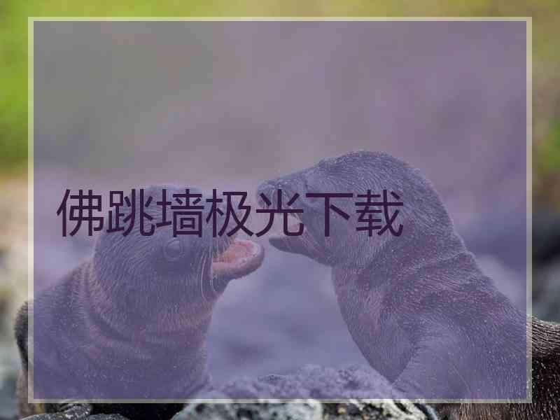 佛跳墙极光下载