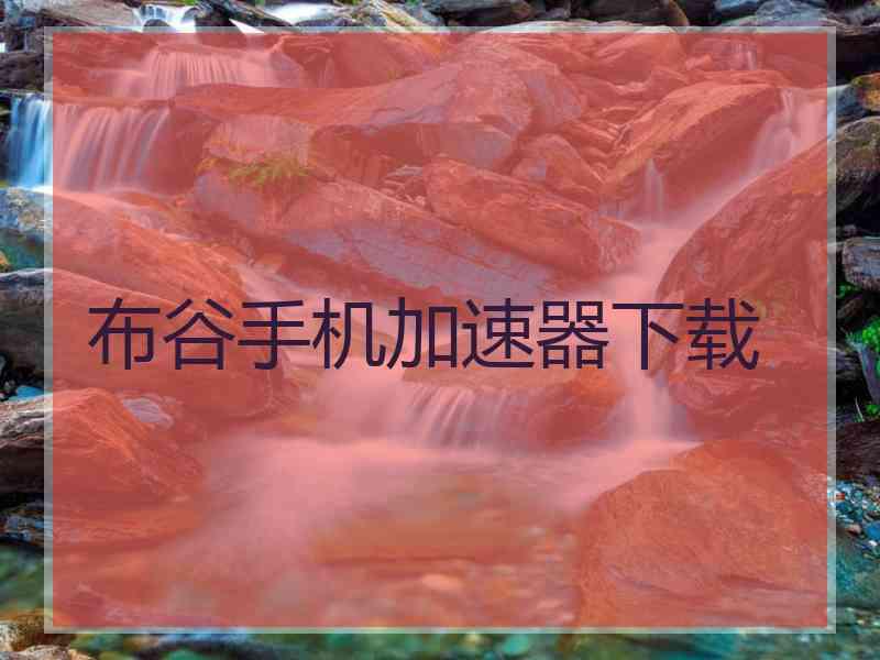 布谷手机加速器下载