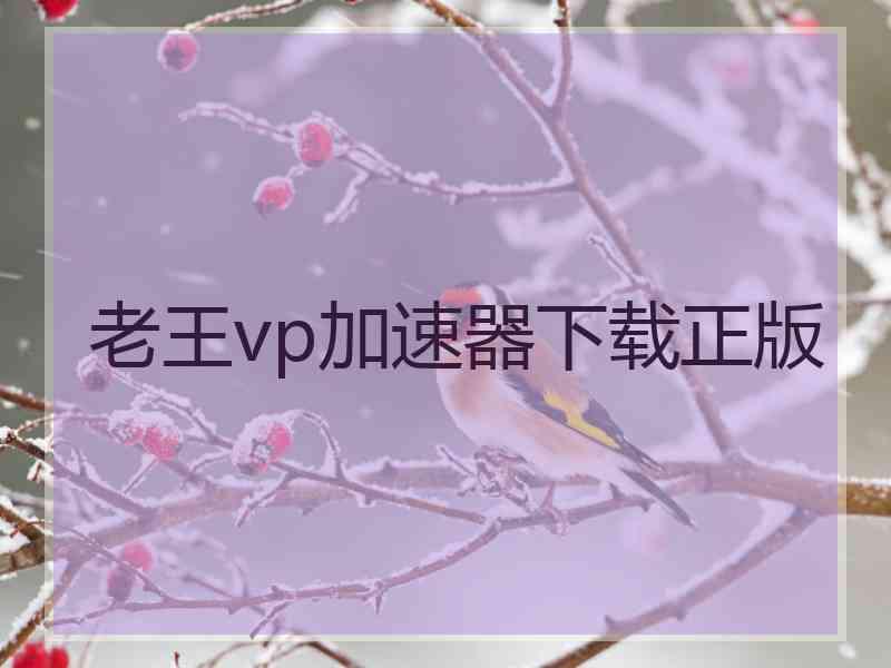 老王vp加速器下载正版