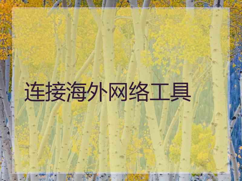 连接海外网络工具