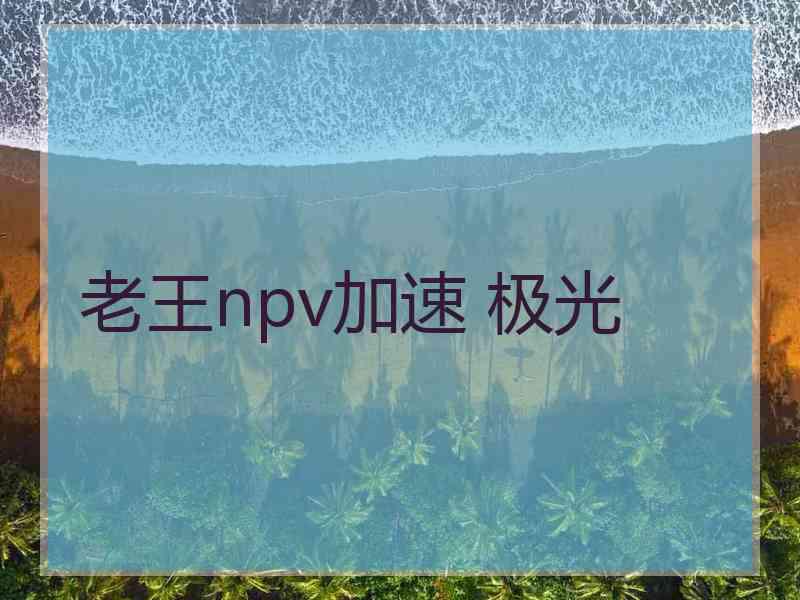 老王npv加速 极光
