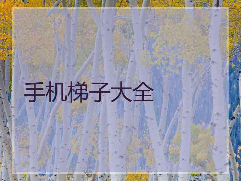 手机梯子大全