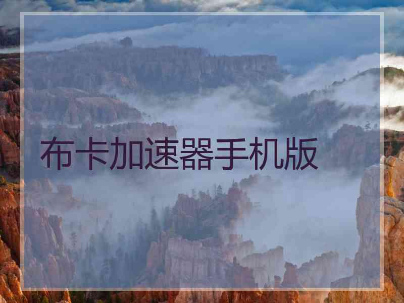 布卡加速器手机版