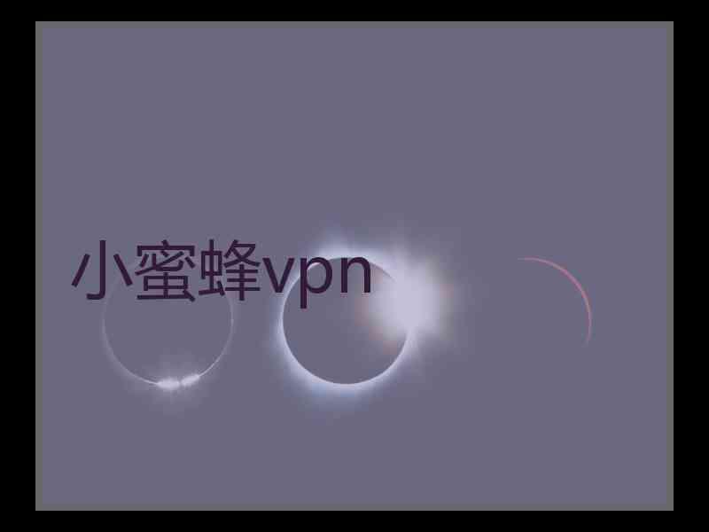 小蜜蜂vpn
