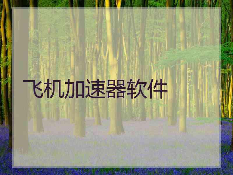 飞机加速器软件