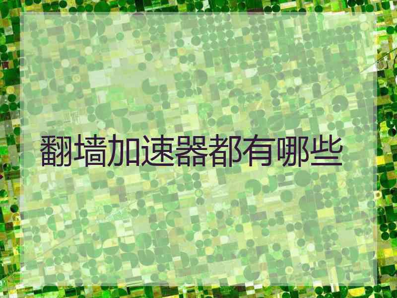 翻墙加速器都有哪些