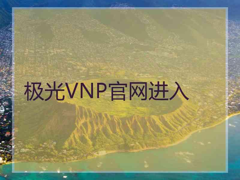 极光VNP官网进入