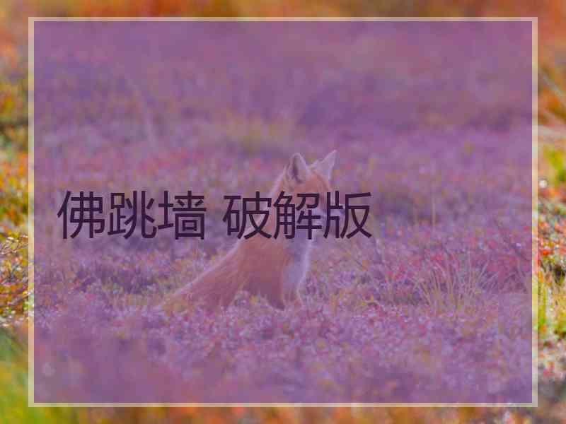 佛跳墙 破解版