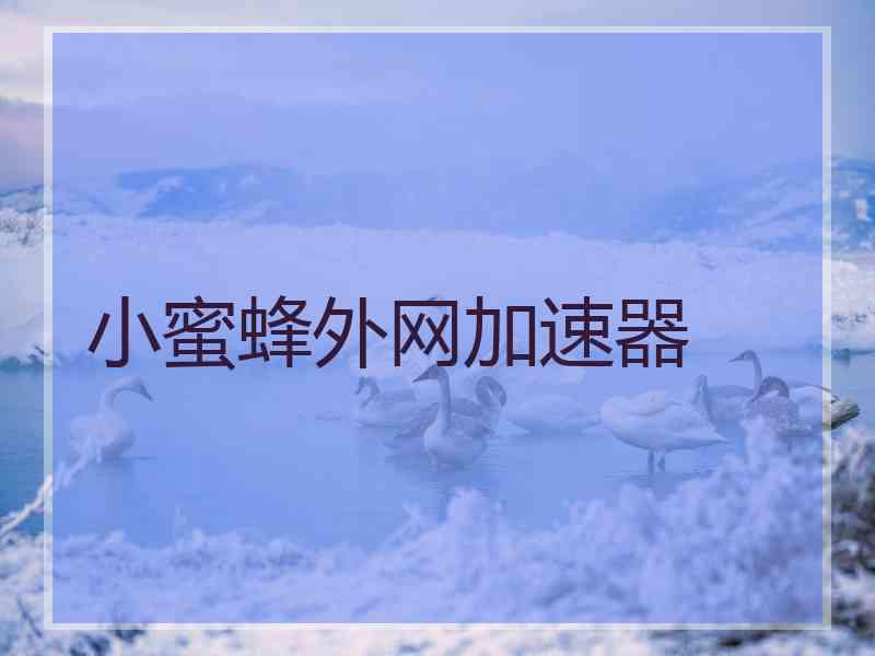 小蜜蜂外网加速器