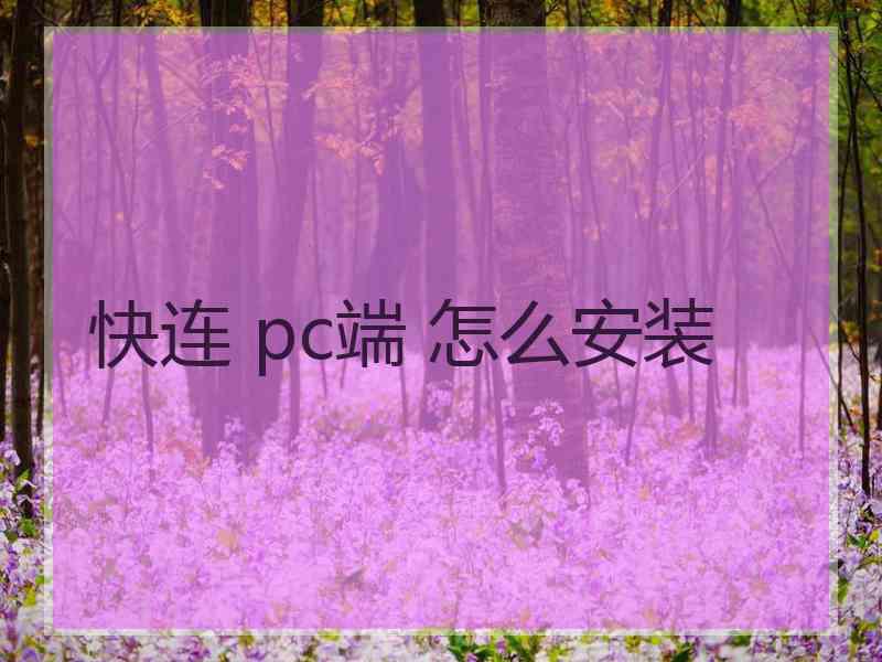 快连 pc端 怎么安装