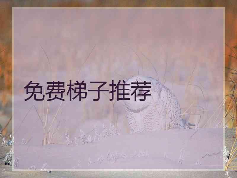 免费梯子推荐