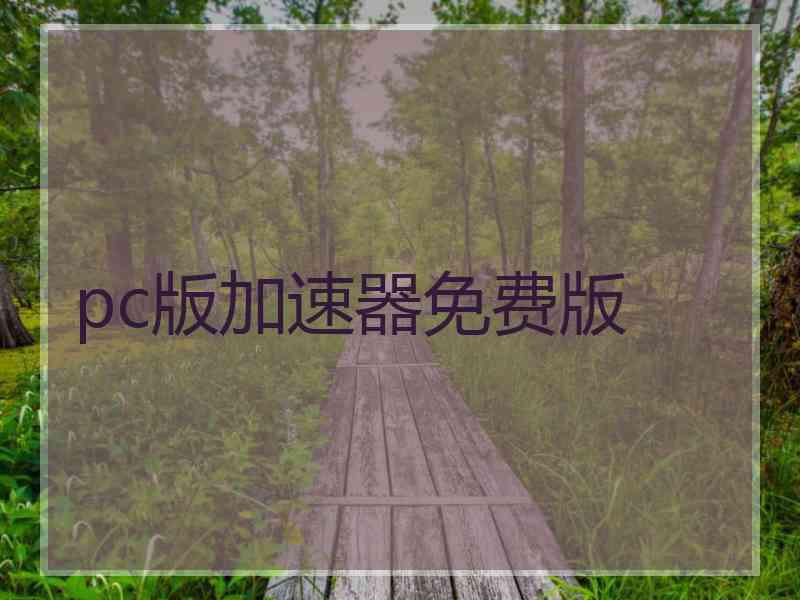 pc版加速器免费版