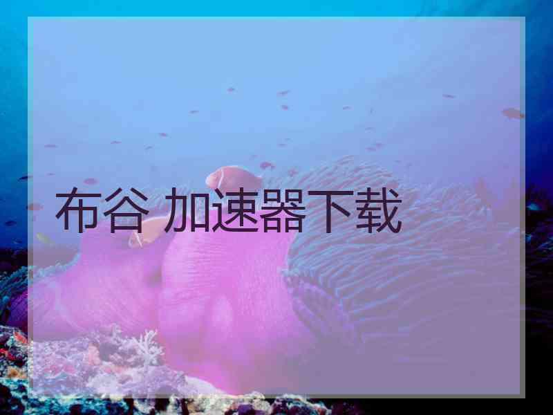 布谷 加速器下载