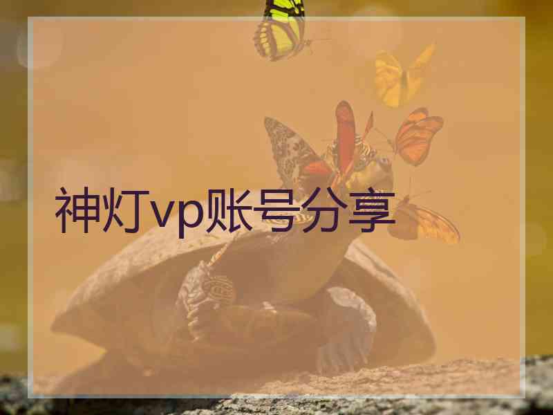 神灯vp账号分享