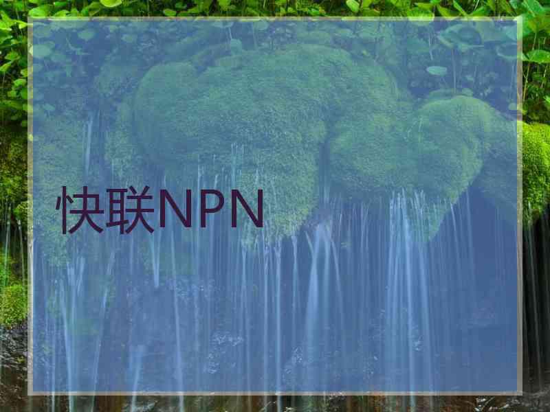 快联NPN