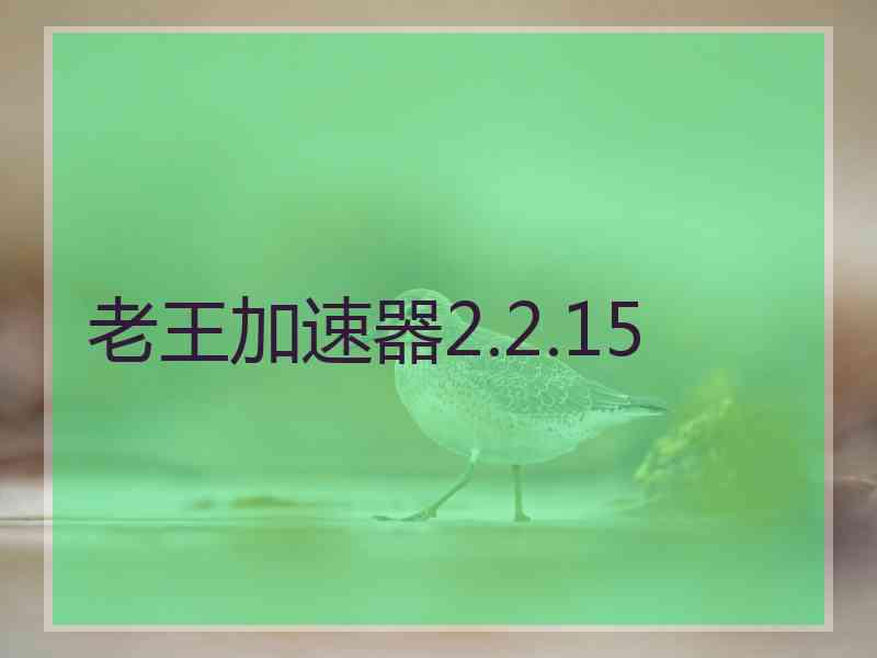 老王加速器2.2.15