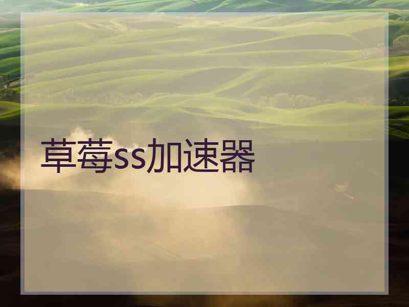 草莓ss加速器