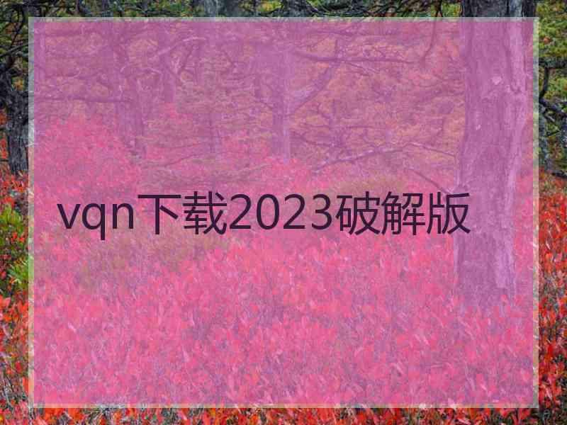 vqn下载2023破解版