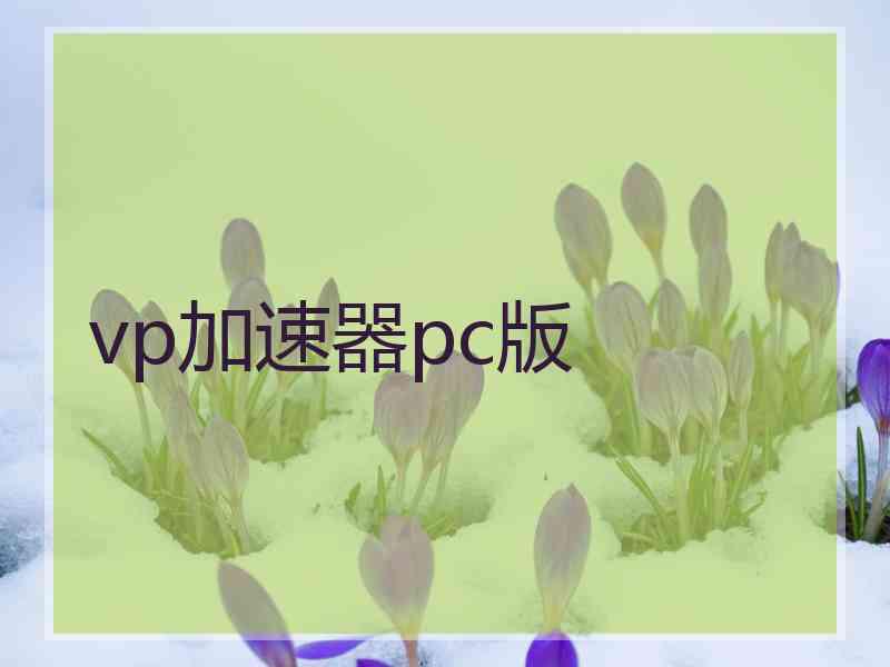 vp加速器pc版