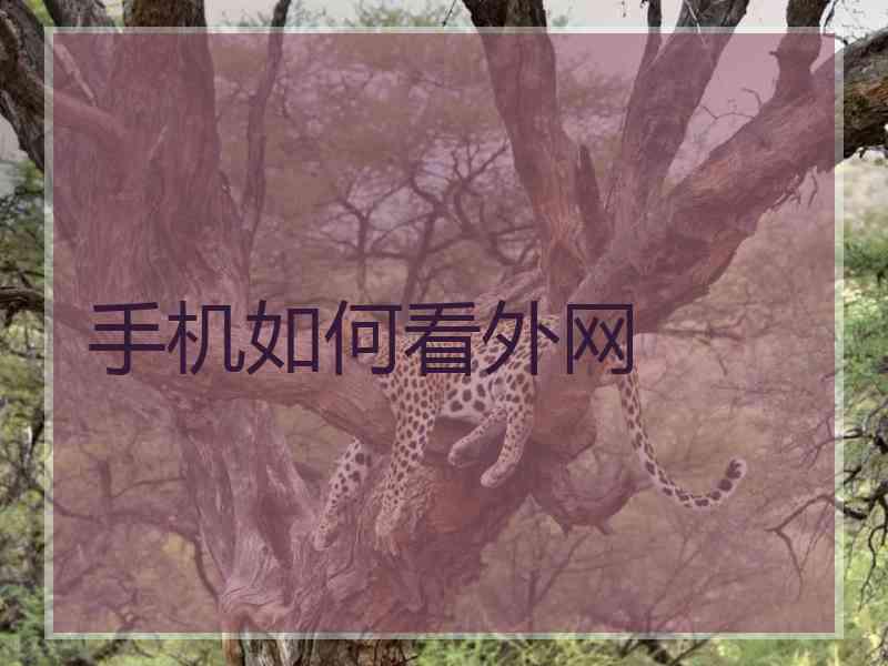 手机如何看外网