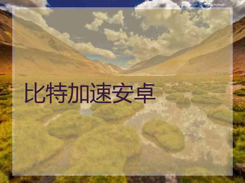 比特加速安卓