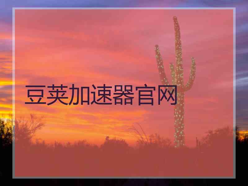 豆荚加速器官网
