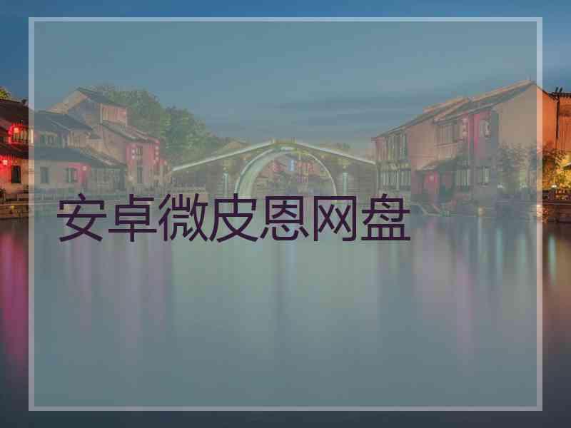 安卓微皮恩网盘