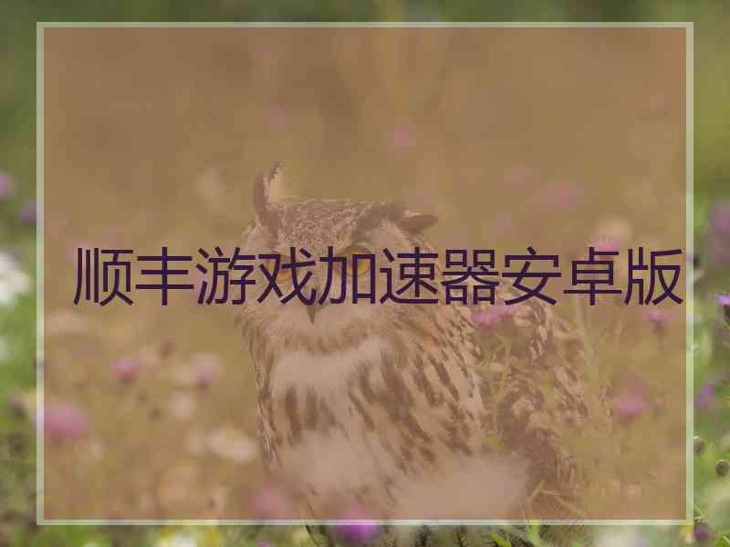 顺丰游戏加速器安卓版